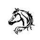 tête de cheval